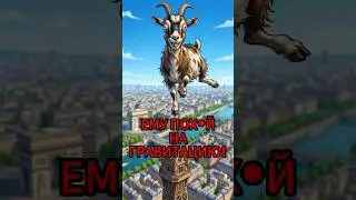 Козёл это ходячая авария из шерсти и злости