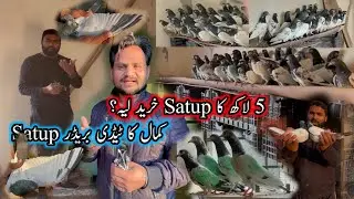 5 Lakah Ka Taddy Breedar Satup Ka Visit 😮