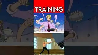 Zoro vs Sanji Training Techniques | One Piece