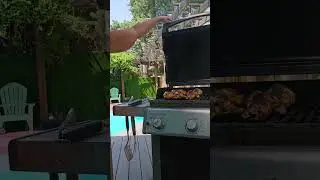 BBQ +Swimming all summer