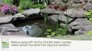 API POND ACCU-CLEAR | Keep your pond looking clear