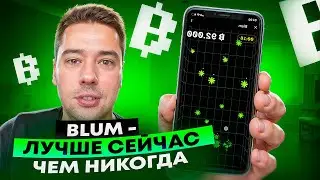 BLUM - ПОЧЕМУ СТОИТ УЧАСТВОВАТЬ В ПРОЕКТЕ?