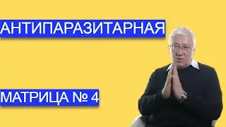 Антипаразитарная Матрица № 4 П.П. Гаряева