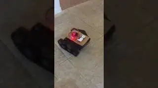 Raspberry Pi Zero W Robot test from 2016 #shorts