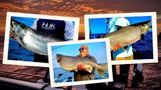 Cracking the Code: Big Fish Tactics for Dominating Fishing Tournaments