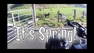 No More Travel Ban and Spring Has Sprung. Life on a Can-Am Ryker. #CanAm #Ryker #TogetherWeRide