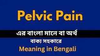 Pelvic Pain Meaning in Bengali /Pelvic Pain  শব্দের বাংলা ভাষায় অর্থ অথবা মানে কি