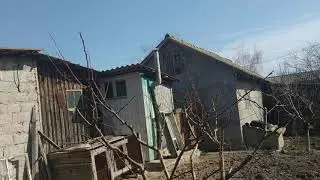 Схема обработки персика,Мой опыт.