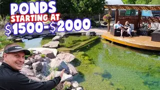 YOU Could Have a *POND* for Under $2000!!