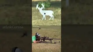 500 yards cold bore... could you make that shot?