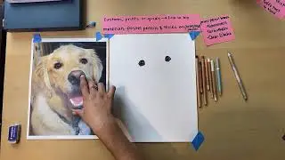 Golden Retriever in Pastels (REAL TIME FULL VIDEO)