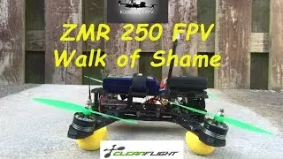 ZMR 250 FPV - Walk of Shame