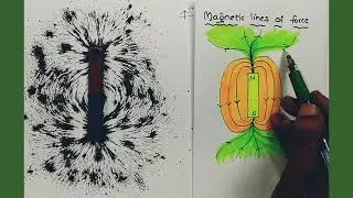 FUN WITH MAGNETS-MAGNETIC LINES OF FORCE /CLASS 6TH SCIENCE, EXPERIMENT