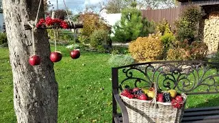 Какие Растения НЕЛЬЗЯ Обрезать Осенью 🍁Уход за Садом 