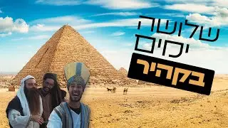 אוהד הנווד | עושה את קהיר
