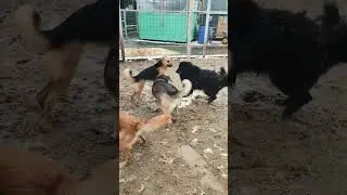Первый снег заряжает на игрули 😁