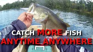 The EASIEST Technique For Fall Fishing?!?!?!