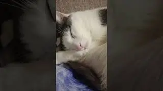 Леня спит!)