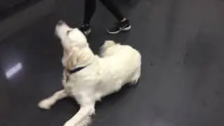 TPSC Daycare PP - Angus Sit Pretty