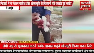 निवाड़ी बेमौसम बारिश और ओलावृष्टि से किसानों की फसले हुई खराब!