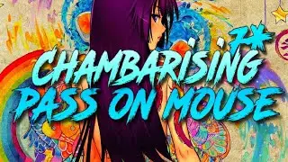 osu! WinGamesTv | t+pazolite with siromaru - Chambarising [Stream Practice (160)](Bloodmoon) | PASS