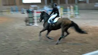 28.10.2017 Kwidzyn Brador P