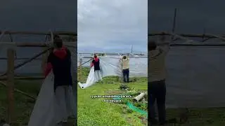 ЗАПУСКАЕМ БОЛЬШУЮ ТЕПЛИЦУ. Часть 1. 
