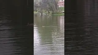 озеро Кабан ,Казань