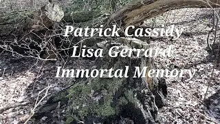 Lisa Gerrard Patrick Cassidy Immortal Memory Psallit in Aure Dei