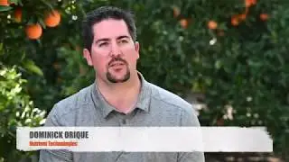 Early Season Citrus Nutrient Update