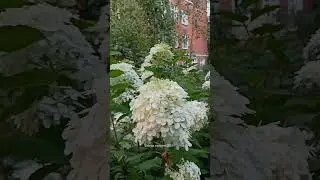 Индивидуальные экскурсии по Москве. Ссылка в профиле