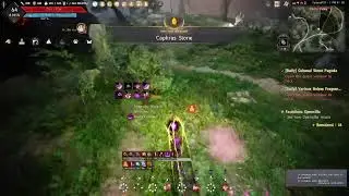 [Black Desert] Awk Maegu - Oluns Solo Grinding - Day 6