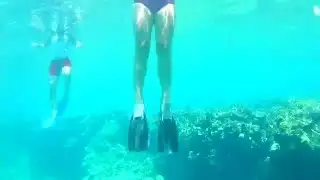 J'ai nagé avec des poissons sympa!!!