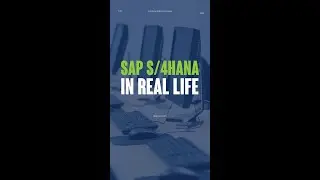 How is the Fiori APP inside? {SAP S/4HANA)