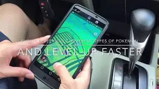 How To Evolve Eevee into Three Different Types of Pokemon and Level Up Faster