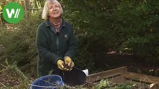 Der Garten im Oktober - Komposthaufen richtig schichten