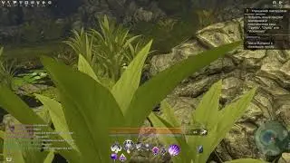 Skyforge Баг (помощь разработчикам )