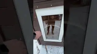 Будка для кошек с обогревом и колесами.