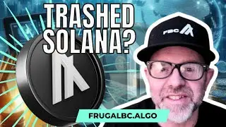 New Algorand CMO SLAMS Solana