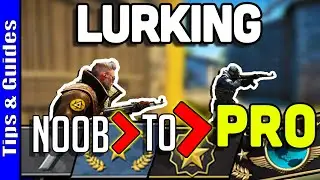 4 Levels of Lurkers : Beginner to Pro