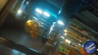 DROELOE x PJOTR V - World Full Of Snakes (REVERSE)