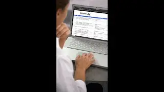 Issue Log in Project Management 