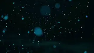 Neon | After Effects | Adobe Premiere Pro