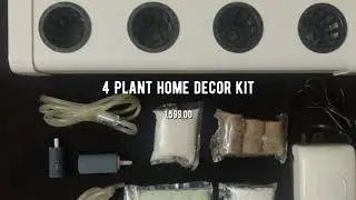 Agri Joy - 4 Plant home decor kit