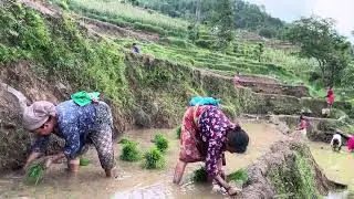 Land,Hand and Seed that feed our stomach 
