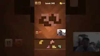 Jigsaw Wood Block Puzzle - Puzz Block Level 241 - 250 Walkthrough