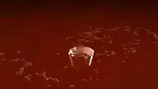 Realflow water collision