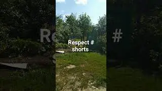 прогулка на даче