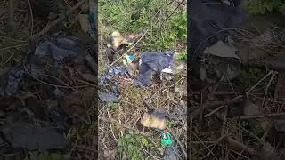 11 квітня 2023 р.