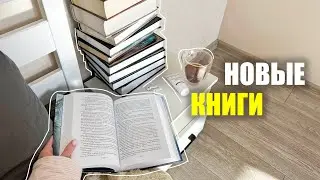 новые книги за два месяца! что почитать из книжных новинок